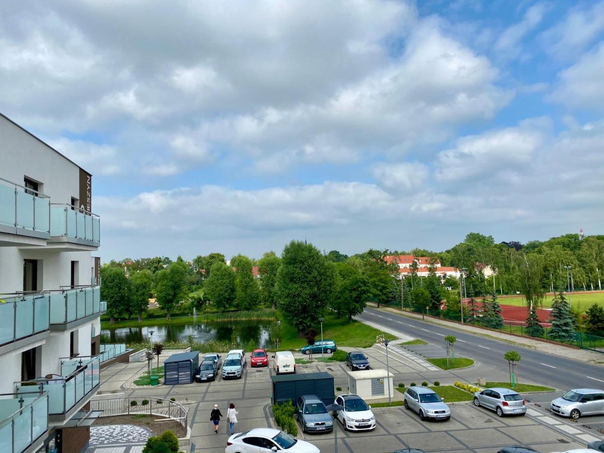 Apartament Opieszyn Września